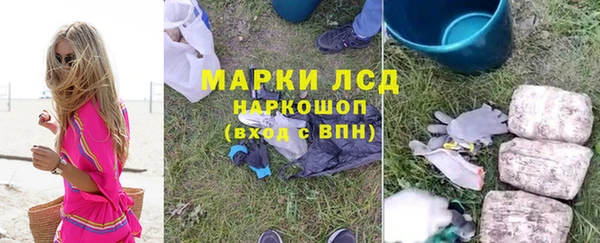 сатива Гвардейск