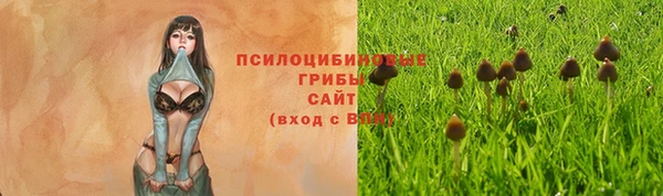молекула духа Зеленокумск