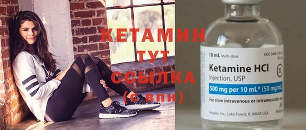 сатива Гвардейск