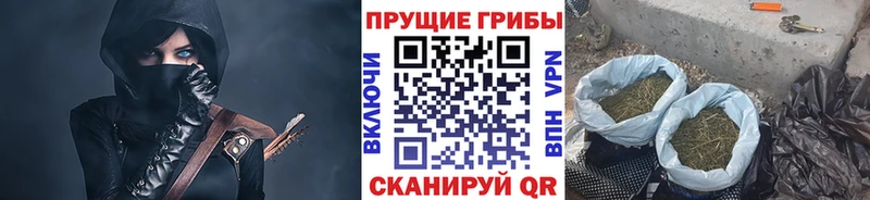 Псилоцибиновые грибы Cubensis  где можно купить наркотик  блэк спрут   Инза 